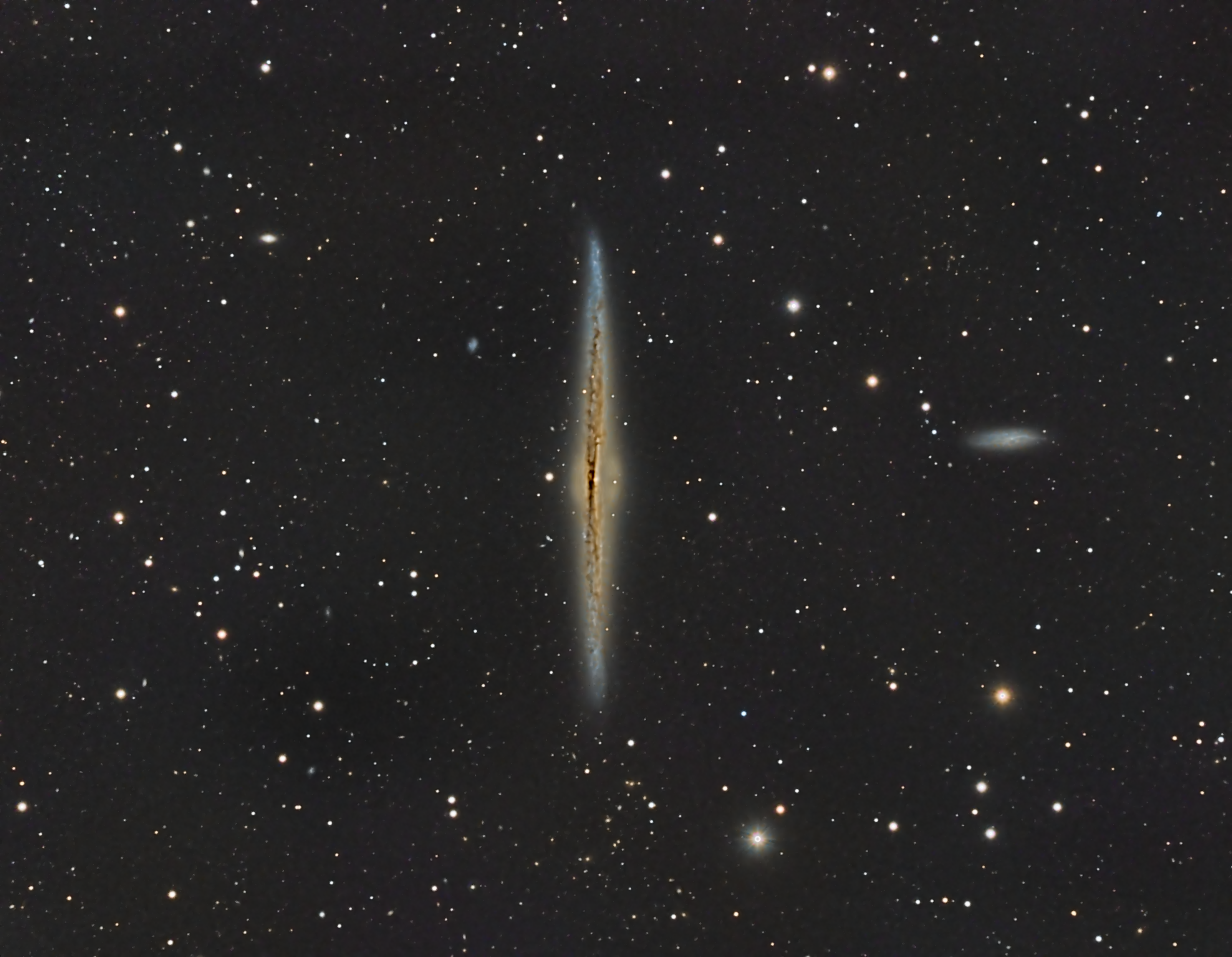 NGC_4565
