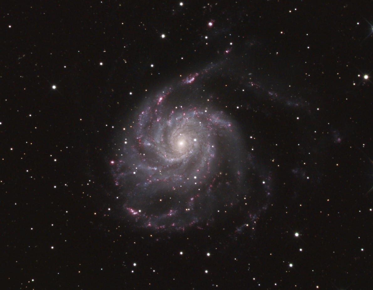 M101 ()