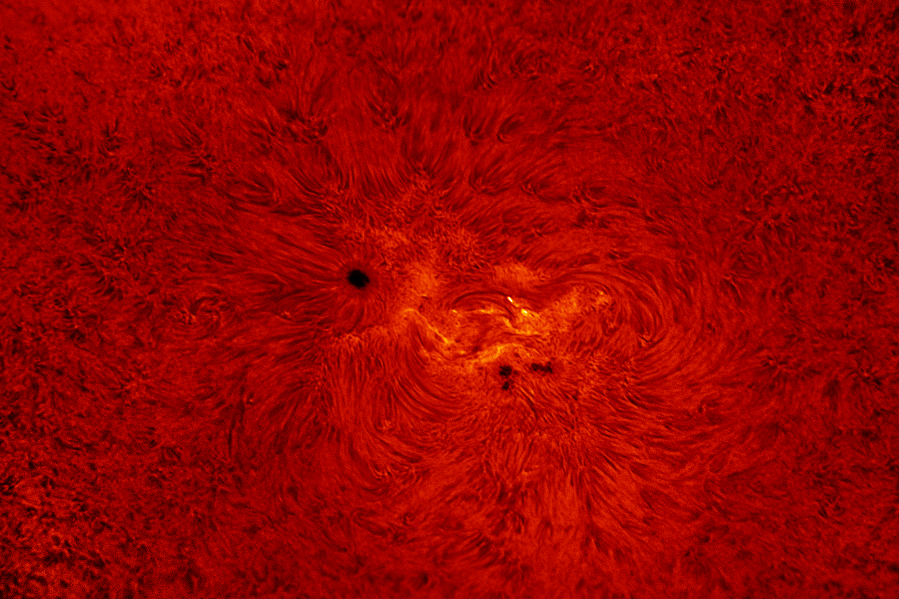 Sun H-alpha  2020-11-08 12:11