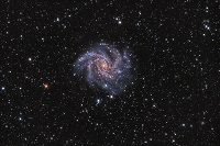    NGC 6946 