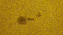 2025-09-06-0707_8-U-L-Sun_lapl5_ap2220_colour