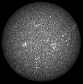 2026-06-09-0811_8-U-UV-Sun_lapl2_ap6960_Resample20_bw.jpg