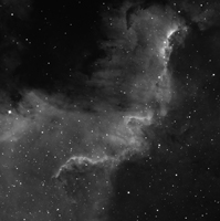 NGC 7000 (водород)