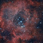 NGC 2239 Rosette