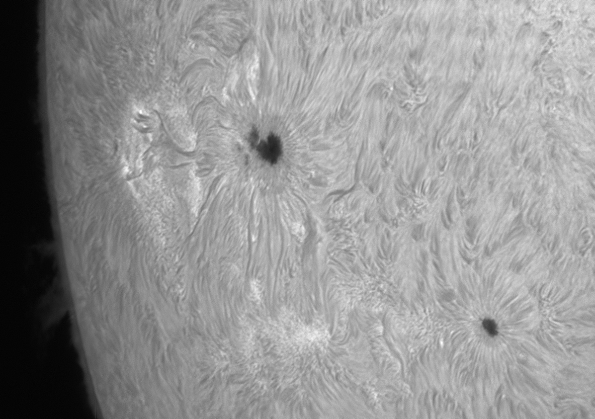 Sun_132409_pipp(00h17m40s-00h18m39s)_aligned_bw