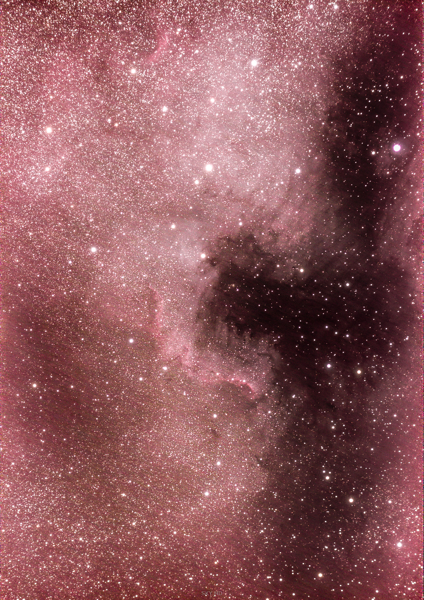 NGC7000