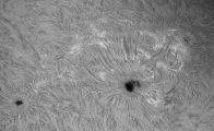 Sun_133019_pipp_all(00h06m58s-00h07m57s)_bw