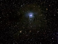 NGC7023 Iris